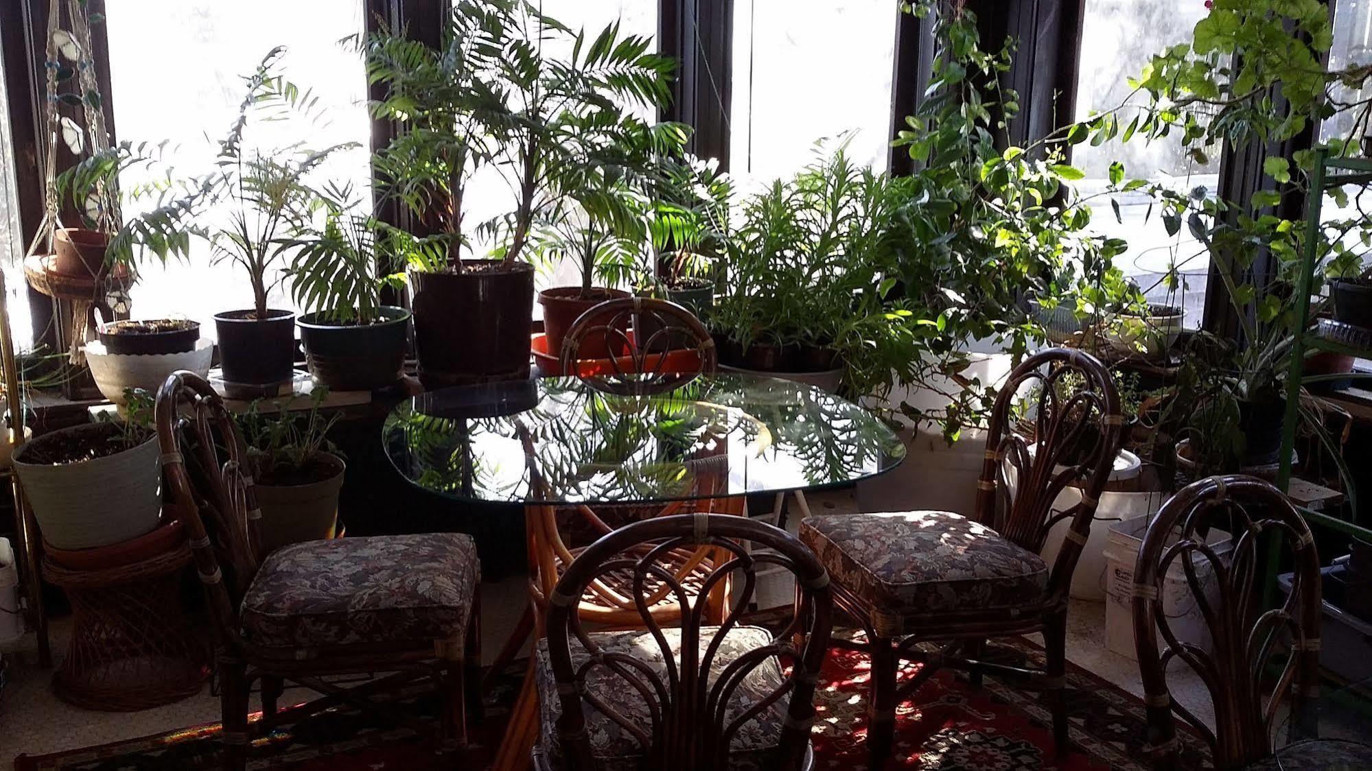 Chestnut Charm Bed & Breakfast Atlantic 外观 照片